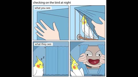 Comics With A Parrot Twist