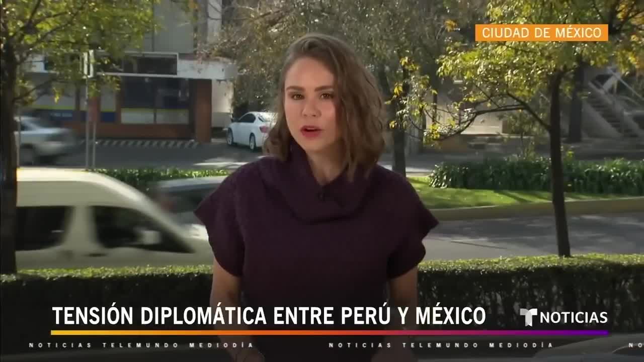 Llega a México la familia de Pedro Castillo en medio de tensiones diplomáticas | Noticias Telemundo