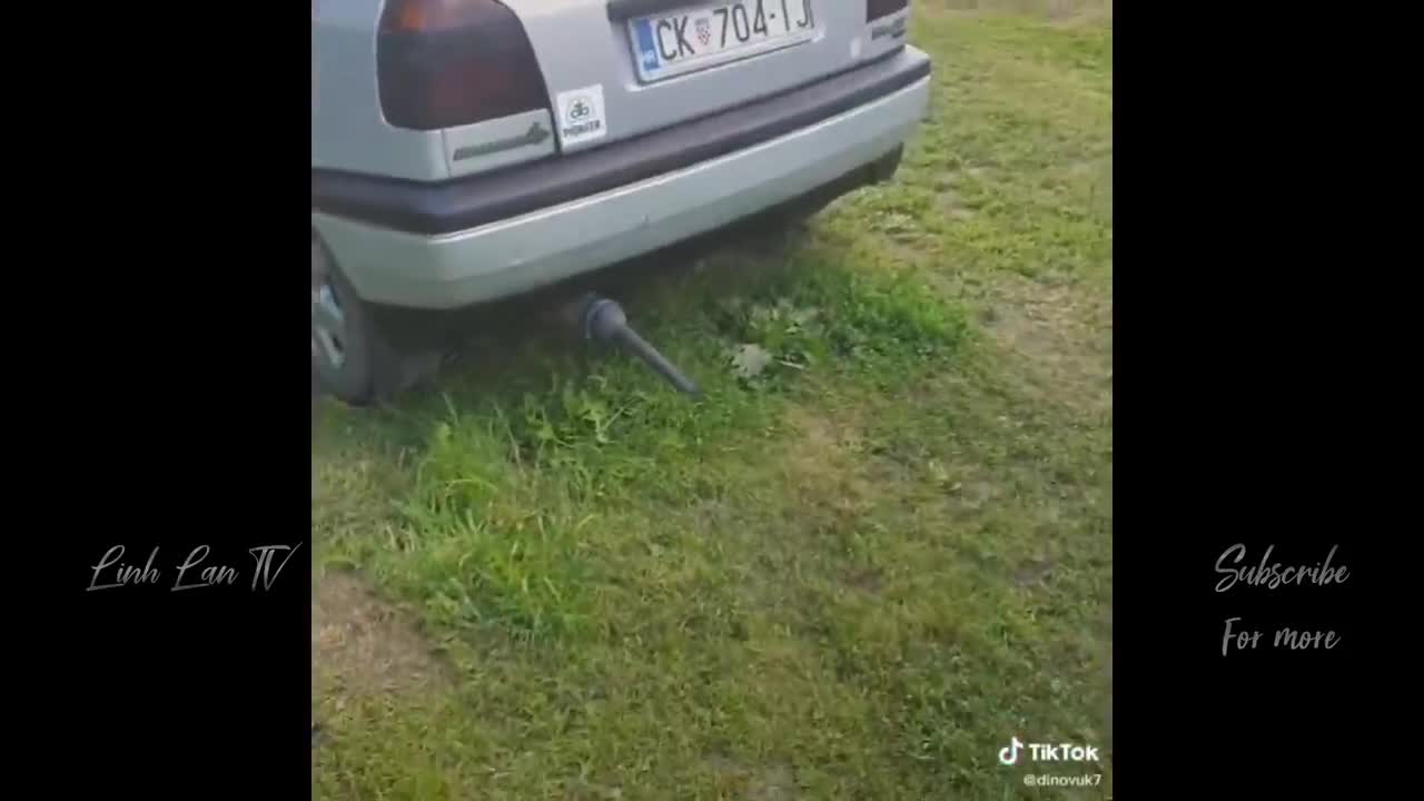 funniest videos of the week