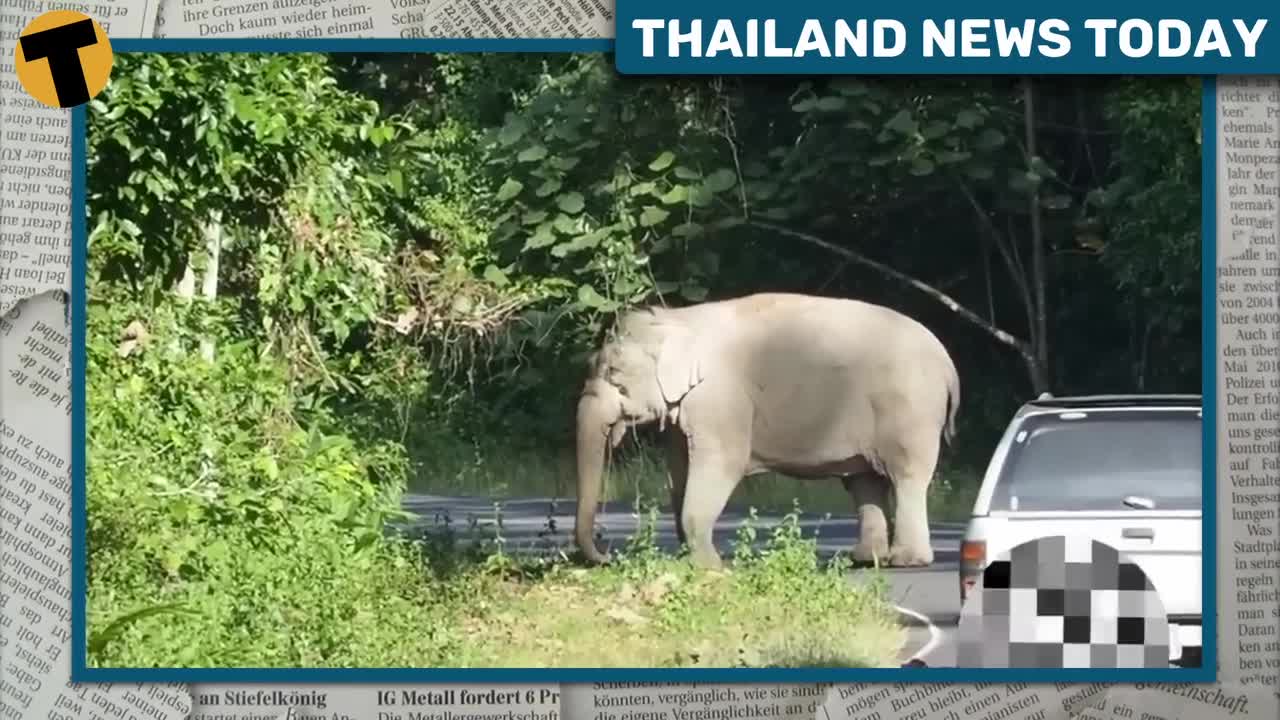 Thailand News Today | Delivery driver finds huge stash of Thai, Laos, and Japanese banknotes