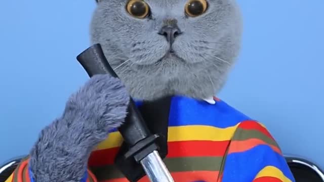 Do You Know The Secrets Of These MAGIC _✌️✌️_ Cat TikTok Challenge #funnycat #catsoftiktok