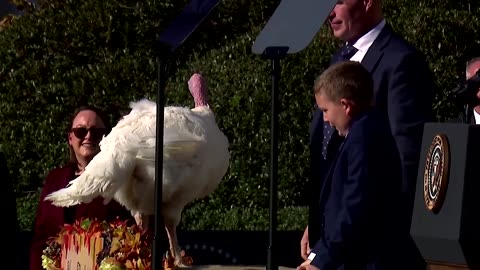 'Keep calm and gobble on': Biden issues final turkey pardons