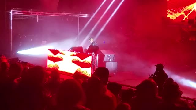 Ivy lab Red Rocks