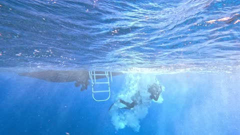 Diver Entry