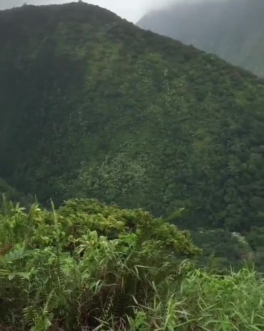 Same thing places you can't go but I could show you that's actually a first