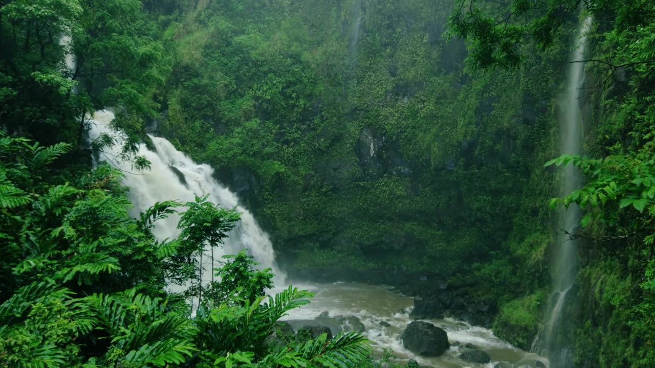 Music to Sleep with Sound of Rain and Nature - Relax and Calm the Mind