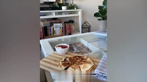 Funny Animal Videos 2023