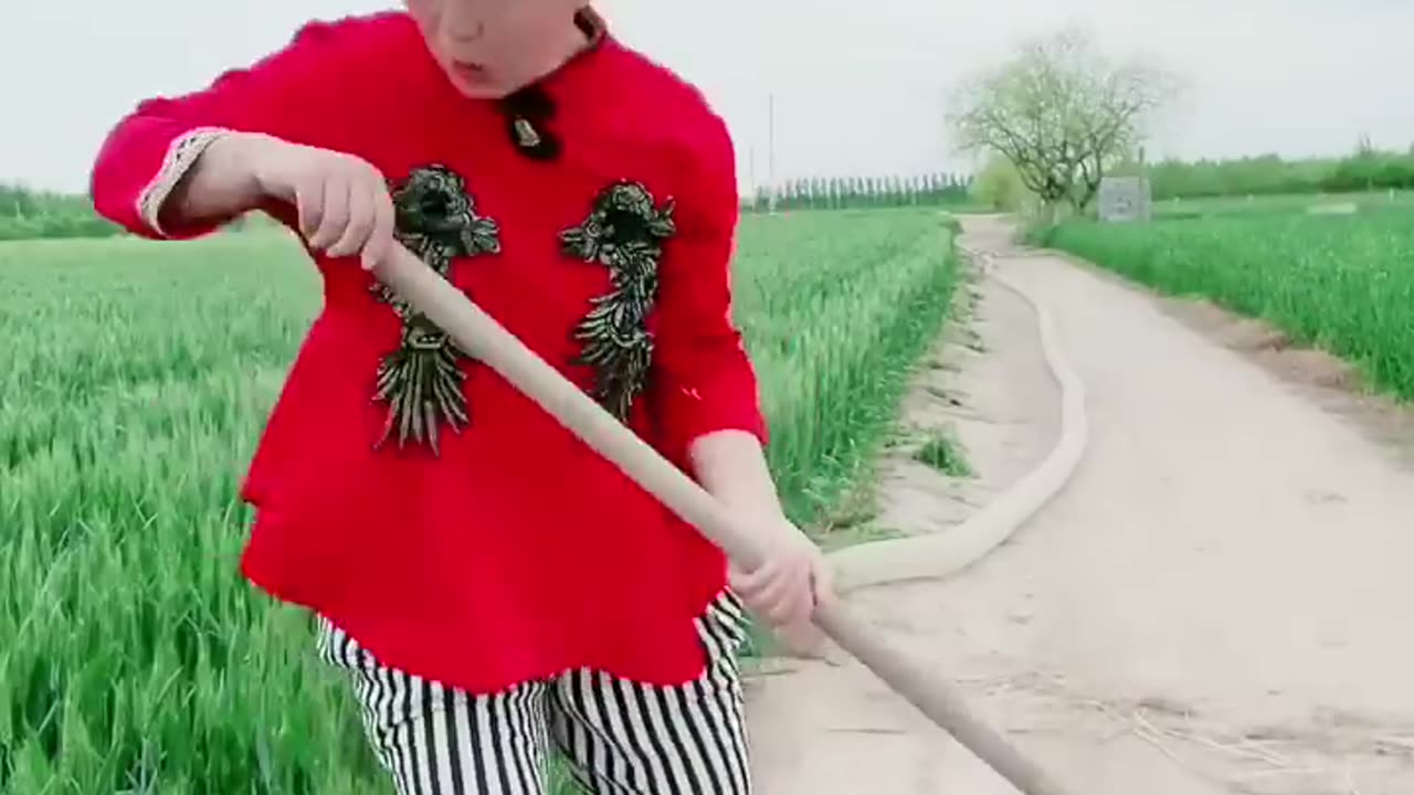 Full funny