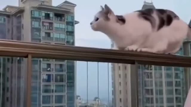 does not know