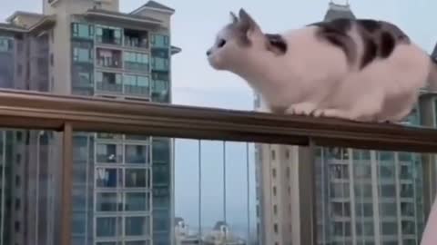 does not know