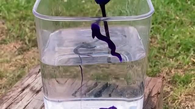 The way she soaked this up