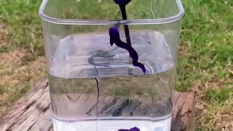 The way she soaked this up
