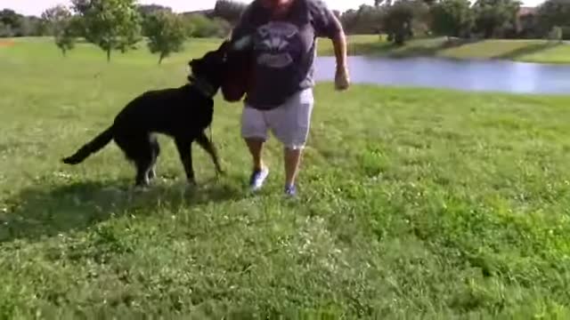 How to make a dog aggressive instantly with few simple tricks