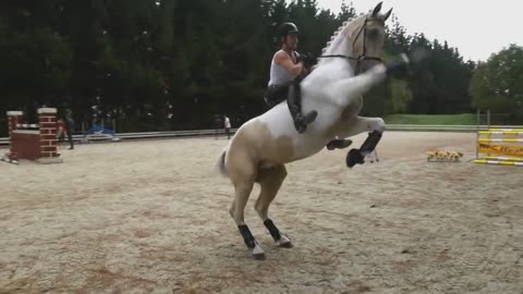 Extreme bareback jumper - Alycia Burton