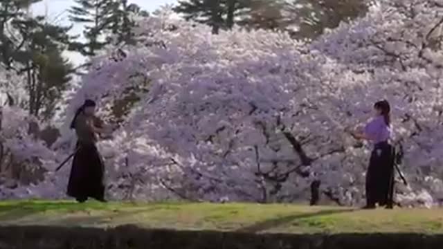 武道プロモーションビデオ