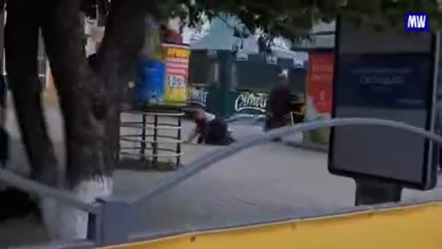 Ukraine military shelling and shooting civilians during Victory Day 2014