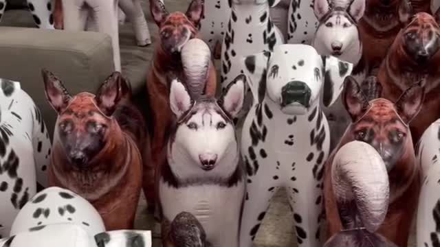 Can you find the real dog? #shorts