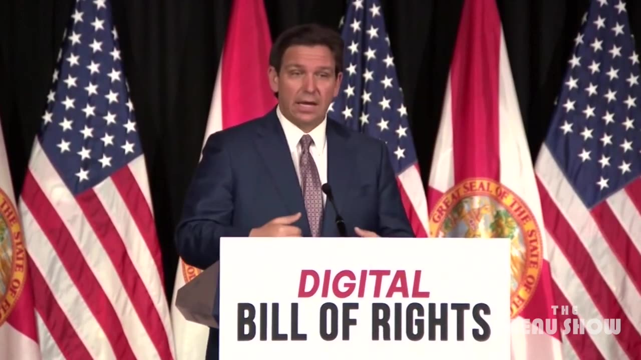Constitution Versus Big Tech: Florida’s Digital Bill of Rights