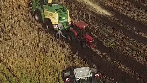 CRC vídeos curiosos