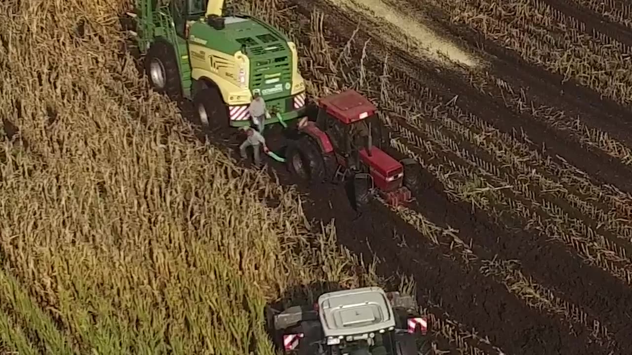 CRC vídeos curiosos