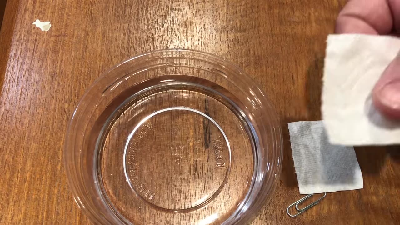 Floating Paper Clip (Surface tension) Experiment