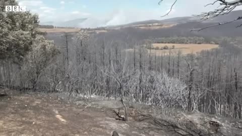 Wildfires breakout in Northern Spain following heatwave - BBC News