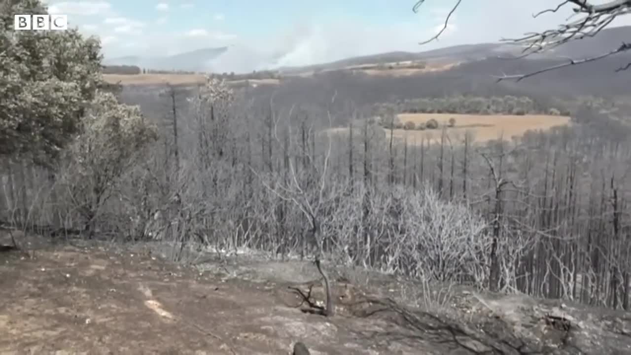 Wildfires breakout in Northern Spain following heatwave - BBC News