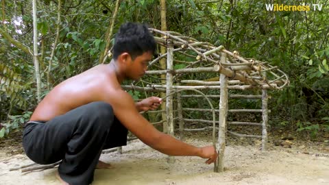 Puppies rescued from the streets are constructing a mud house for their dog and a pond for red fish.