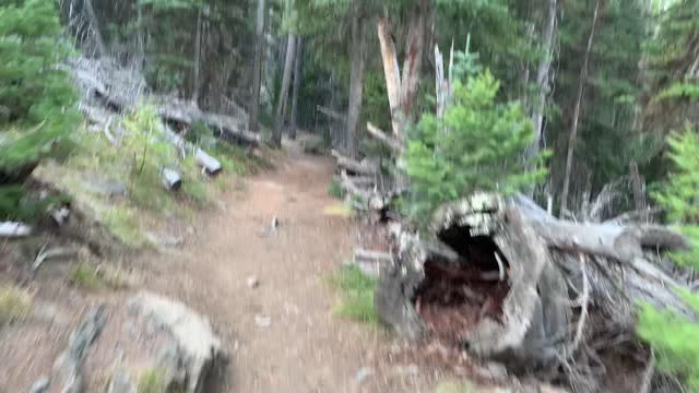 Eastern Oregon – Strawberry Lake + Wilderness – Final Alpine Forest Approach to Strawberry Lake