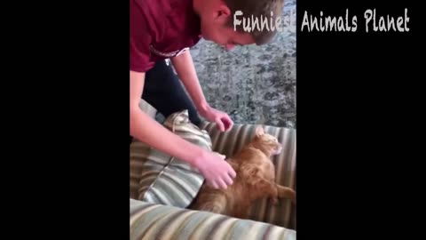 funny animal part 2