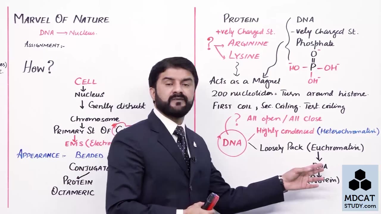 LEC#2 COMPOSITION OF CHROMOSOME