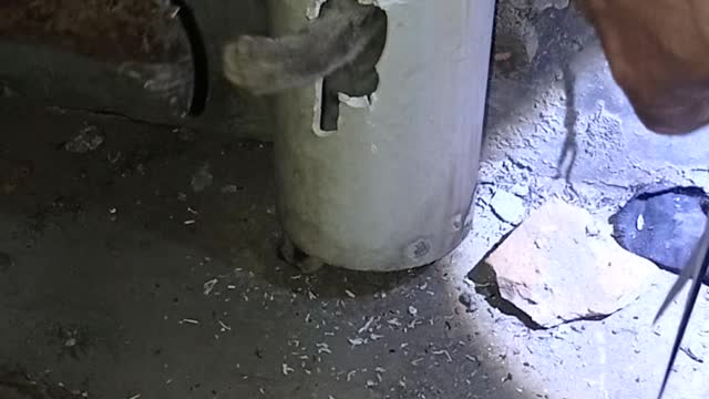 Saving a Kitten From a Drain Pipe