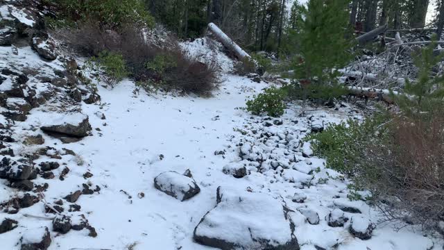 Central Oregon – Edison Sno-Park – Walking in a Winter Wonderland – 4K