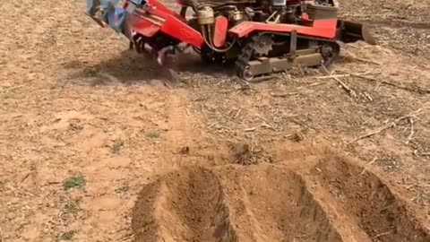 CRC vídeos curiosos