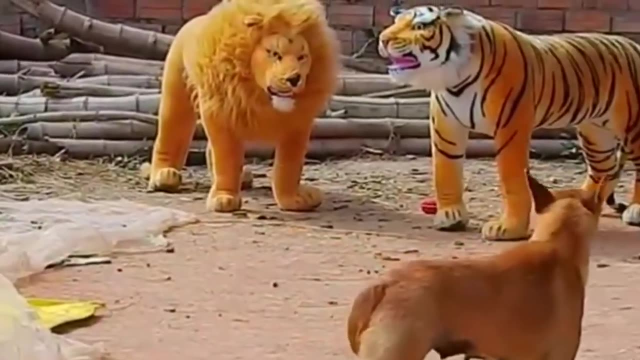 Fake lion 🦁 prank with dog funny video don't try to laugh 😂😂😂😂