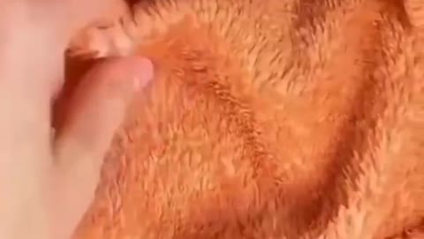Cute lovely baby