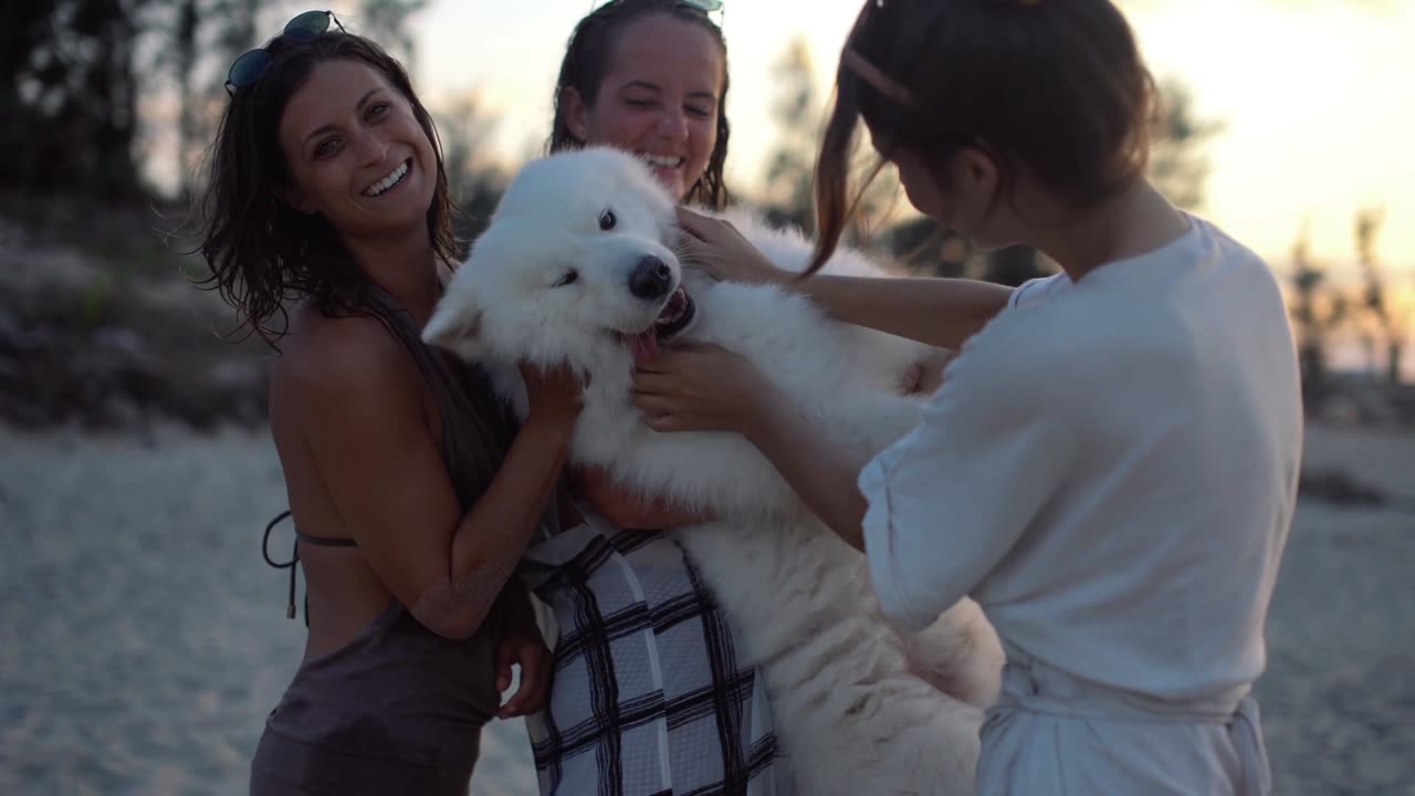 the heartwarming bond between a cool, playful dog