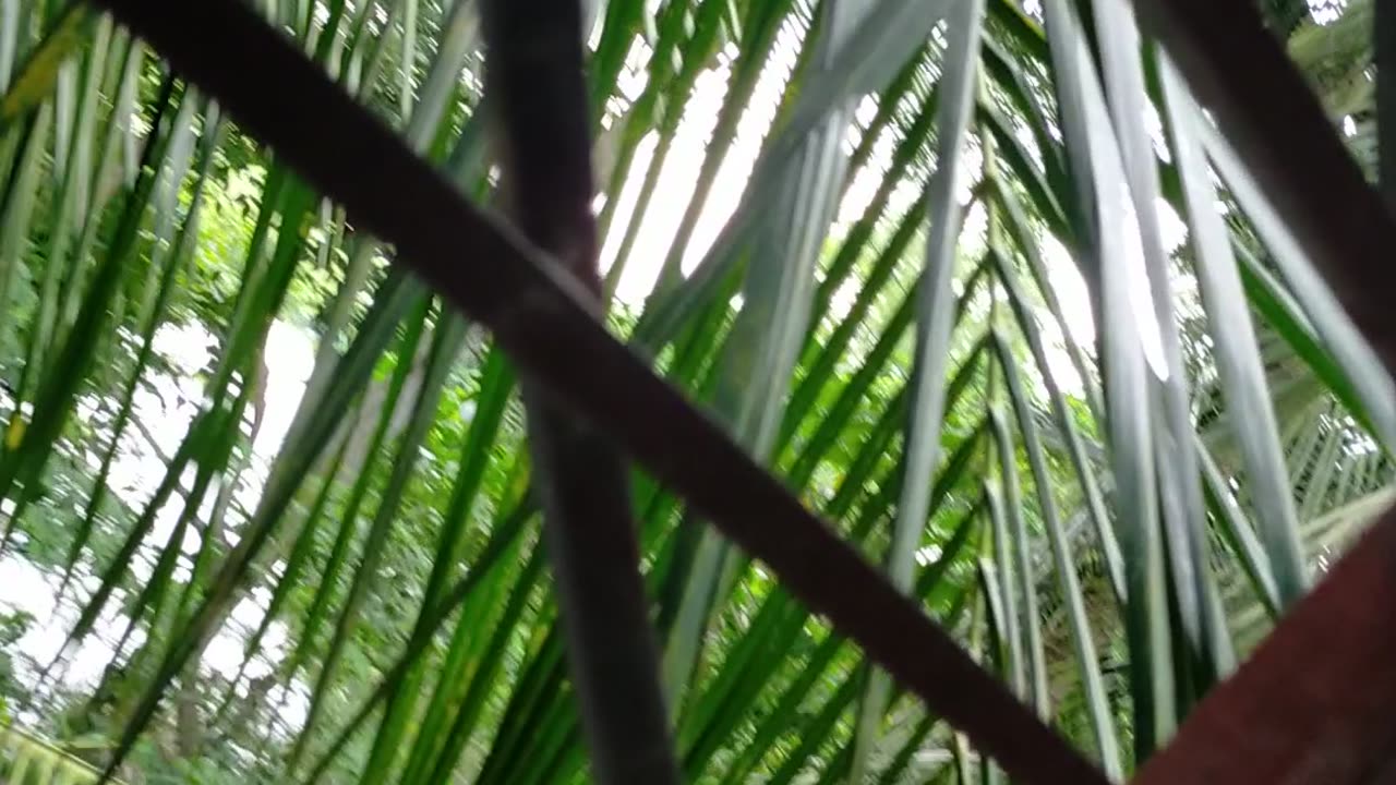 Funny moments