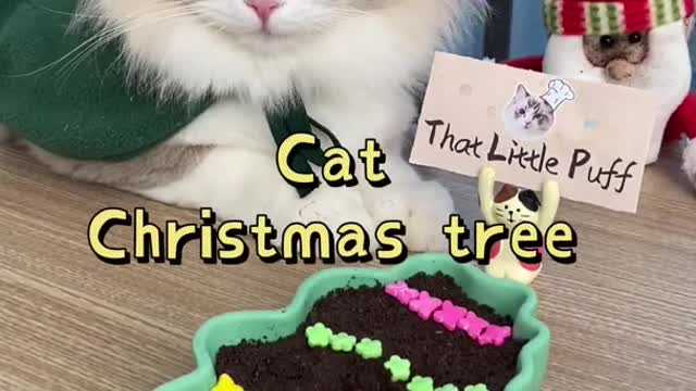All I want for Christmas is you!