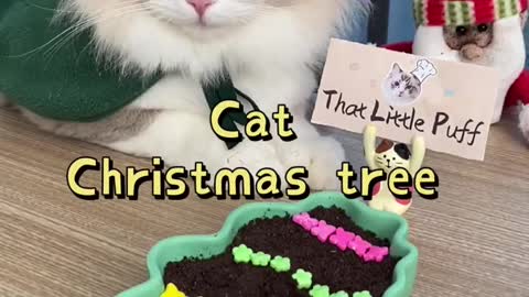 All I want for Christmas is you!