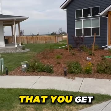 Brown Spots Lawn Detective Part 2