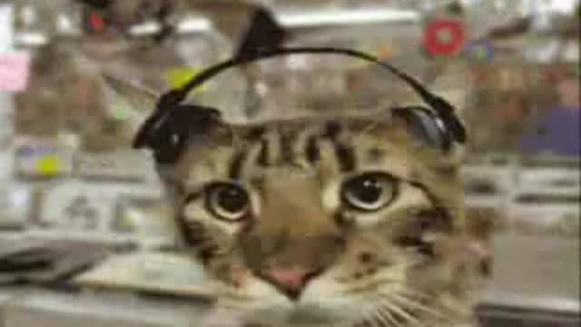 Funny drôle