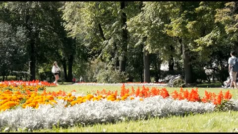 Электросамокат с маленьким весом