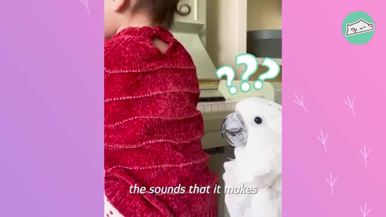 parrot love with cute baby