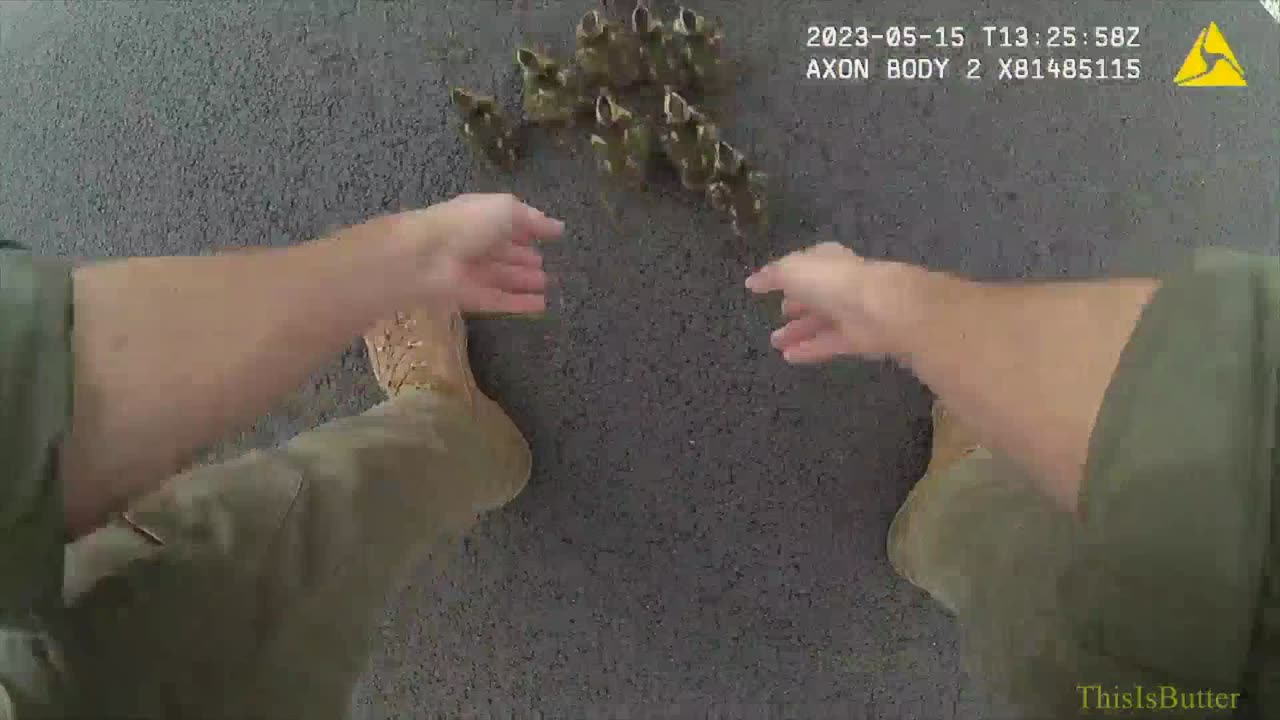 Fairfax police release body cam of officers stopping traffic on I66 to help ducklings cross the road