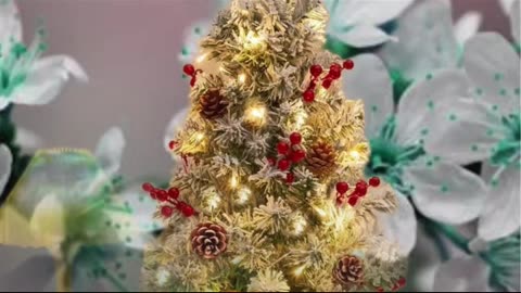 Christmas Tree Traditions Around the World!