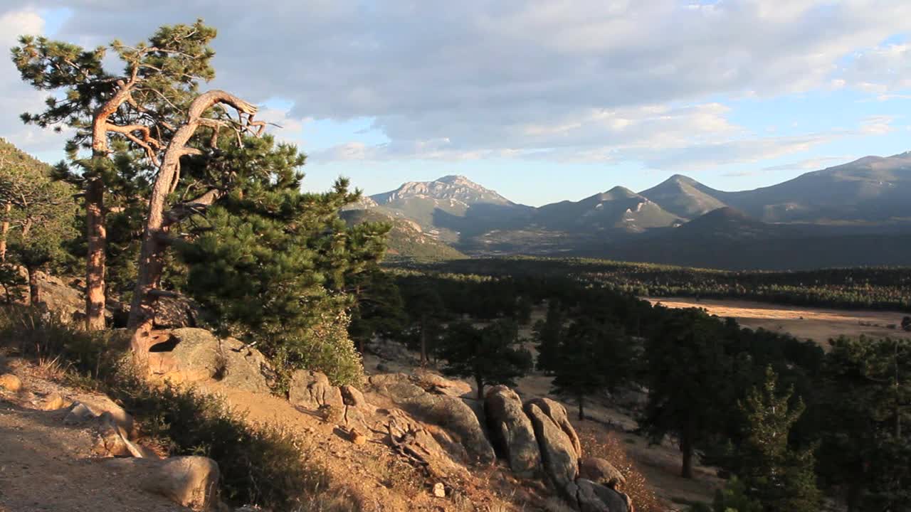 Colorado Rocky Mountain National Park with pine tree