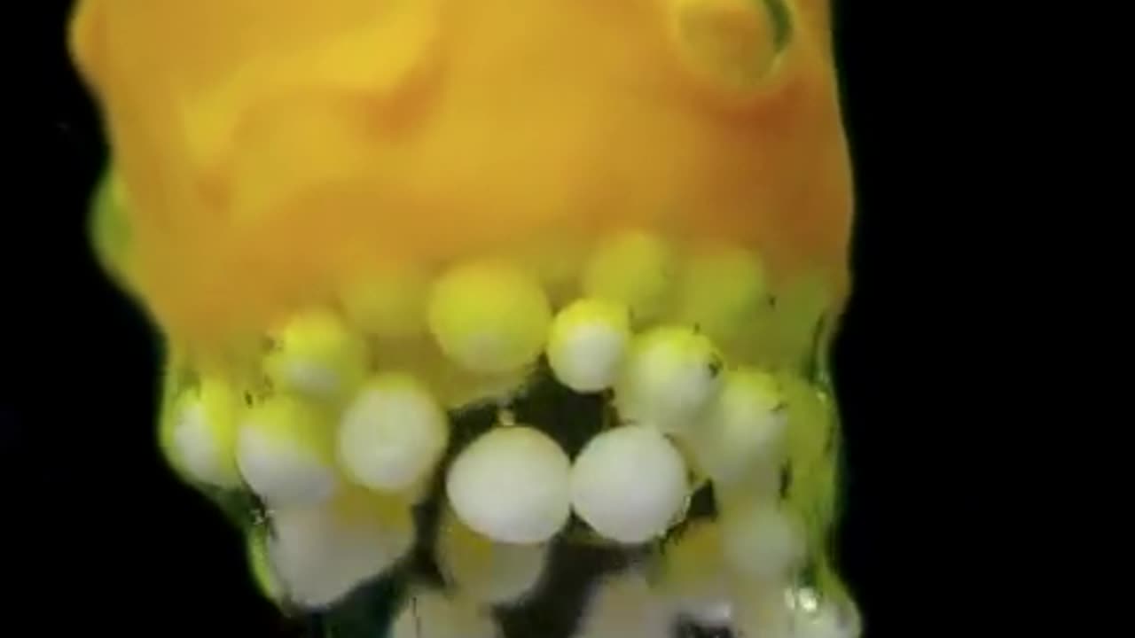 This is what a pill looks like dissolving in water 💊