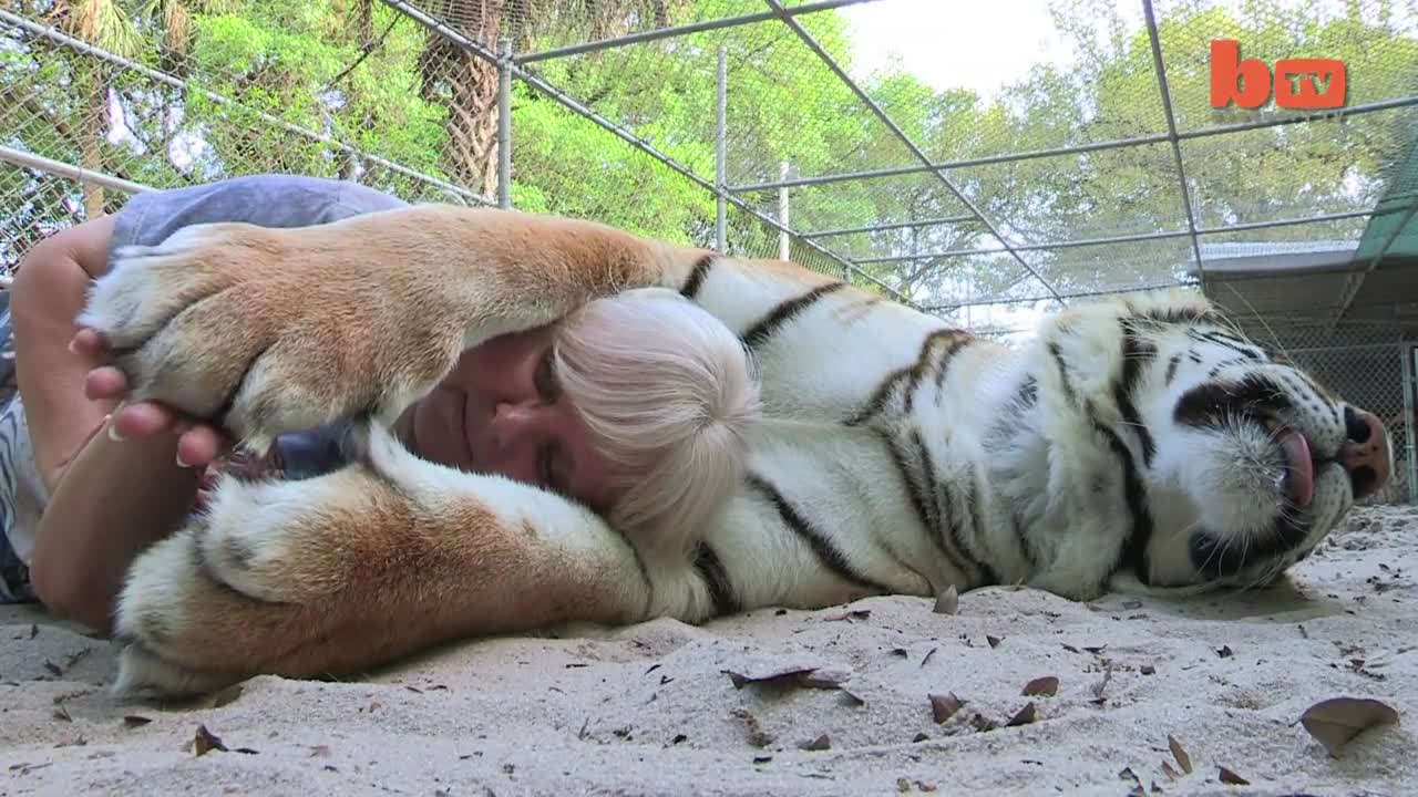 Florida Woman Keeps Bengal Tigers In Her Garden