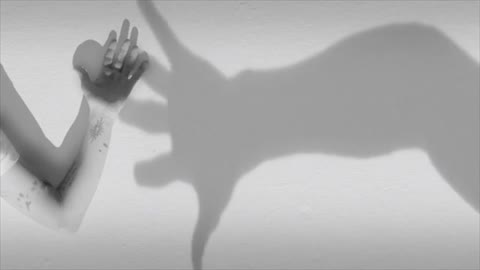 lovely video music dance with shadow art
